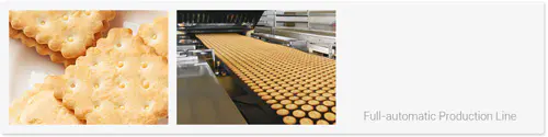 Soft / Hard Biscuit Machine  