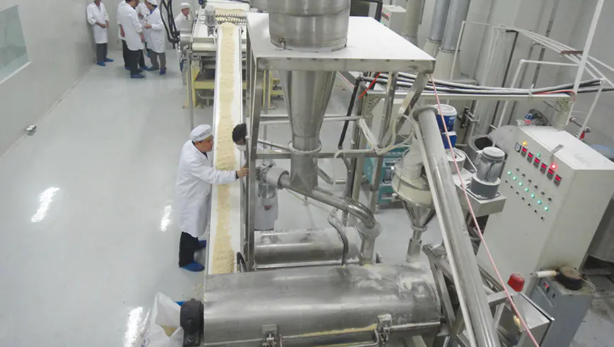 Full-automatic Compound Potato Chips Production Line