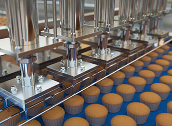 Key points in the production of peanut biscuits