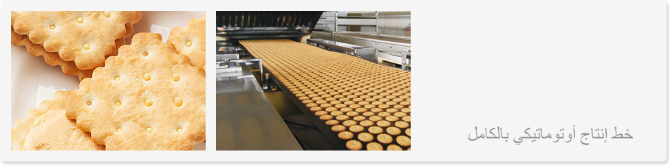 The Evolution and Development of Biscuit Making Machinery