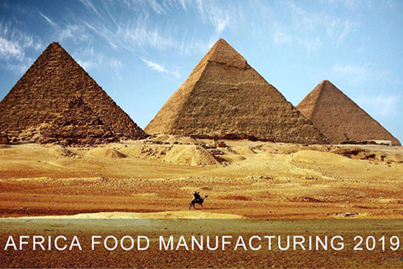 AFRICA FOOD MANUFACTURING 2019