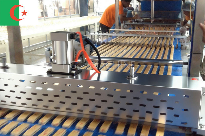 Swiss Roll Cake Production Line - Algeria