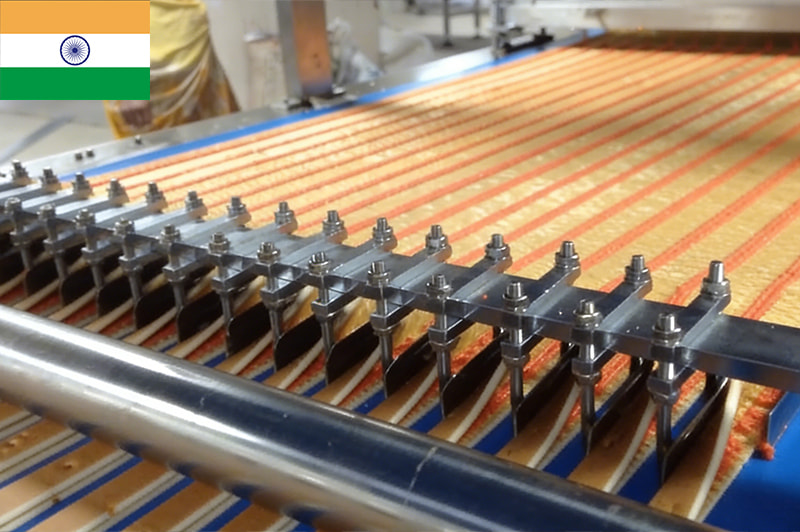 Swiss Roll / Layer Cake Production Line - India