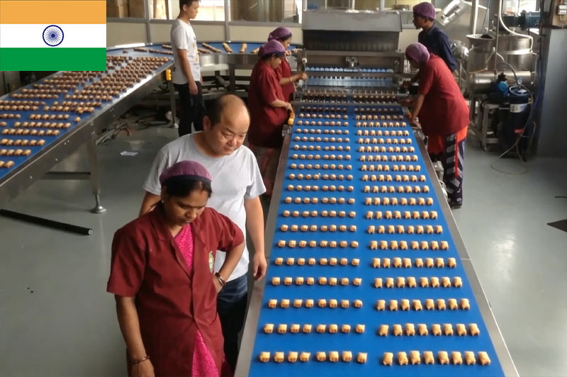 India Bear Cake High-Speed Line 400kg/h