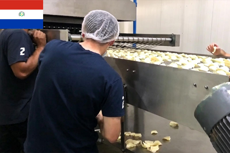 Paraguay Chips Production Project 250kg/h