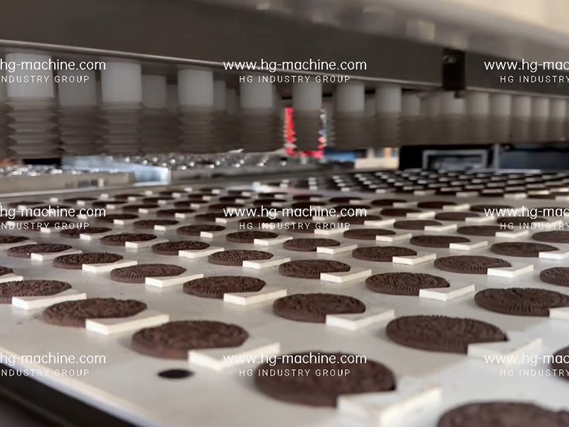 Automatic Soft/Hard/ Soda/ Biscuit Production Line