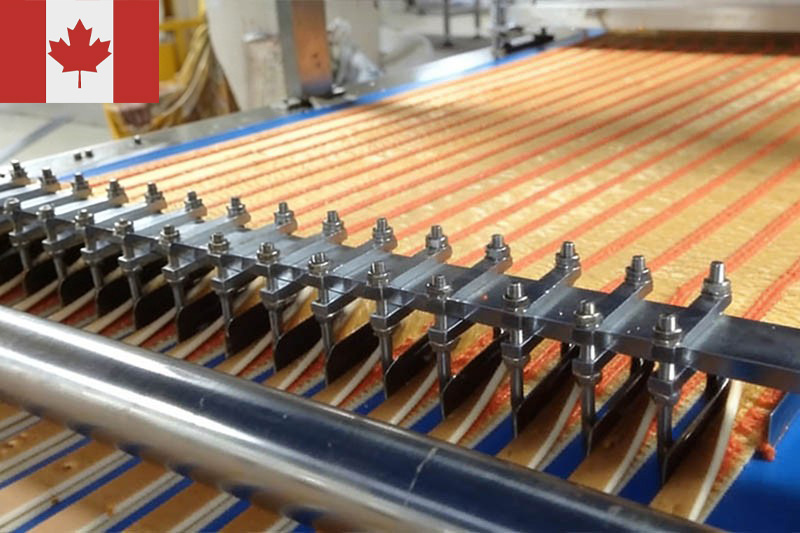 Canada Swiss Roll Expansion Project 1200kg/h