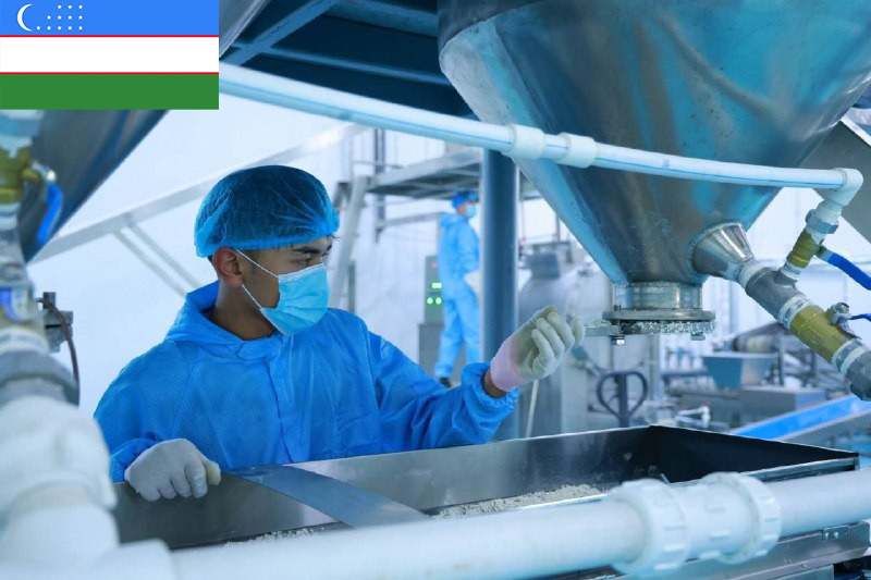 Uzbekistan | Rice Snack Production Line Turnkey Project