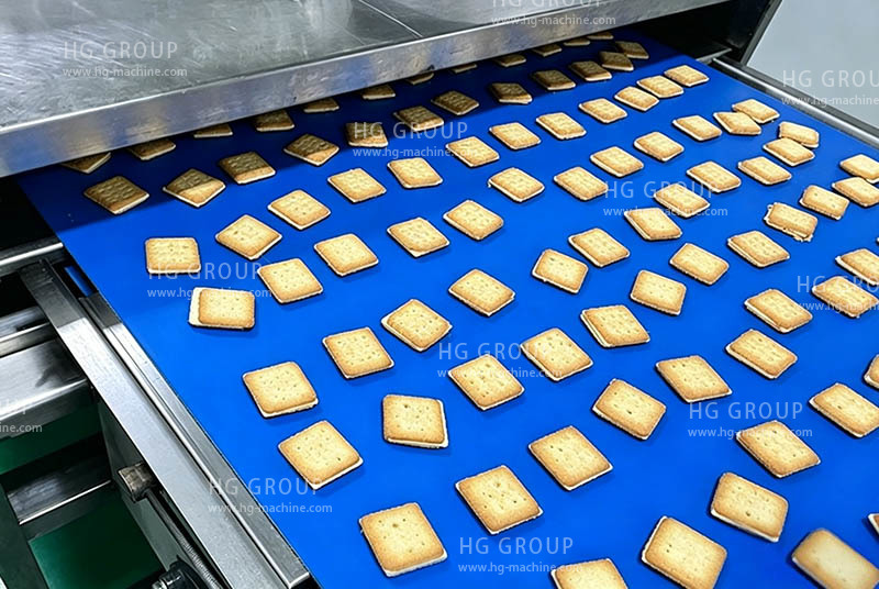 Automatic Langue de chat production line